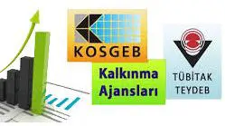 Devlet Destekli Projeler