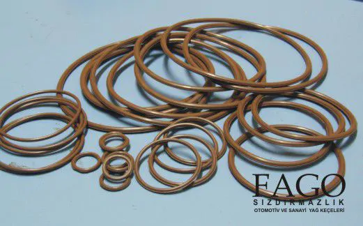 OIL SEALS