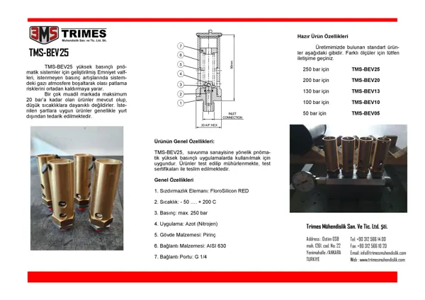BASINÇ EMNİYET VALFLERİ
