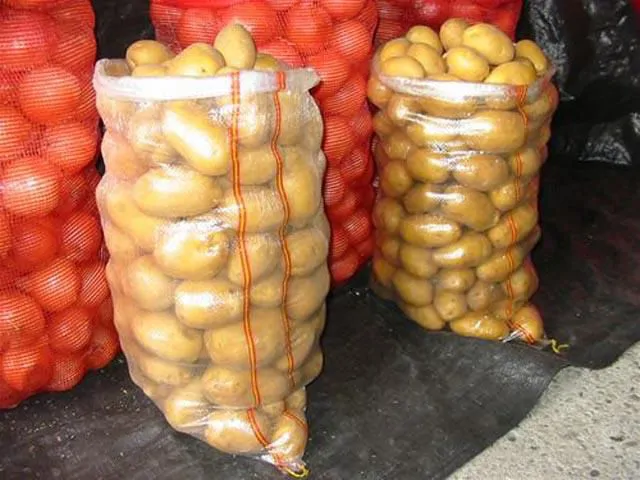 Transparent Sack