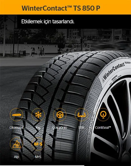 Car Winter Tires