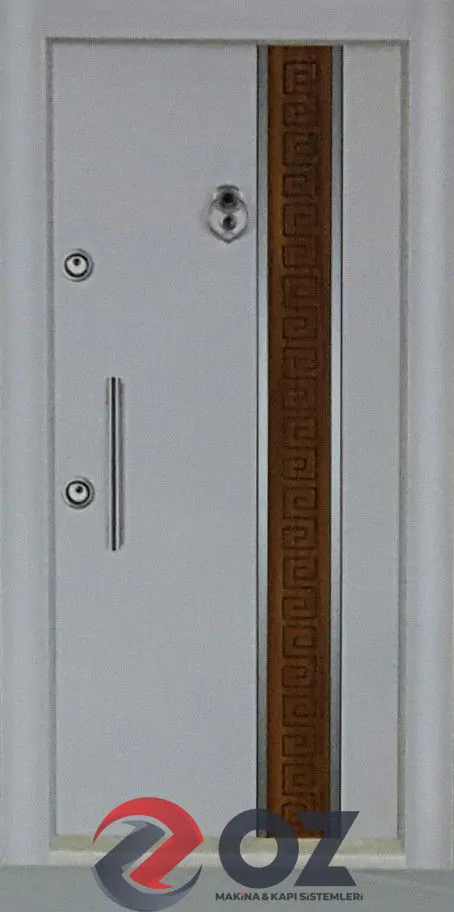 OZ Series OZ-05 Two-Color Laminox Steel Door