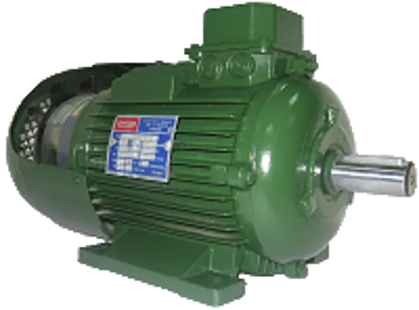 FRENLİ MOTOR