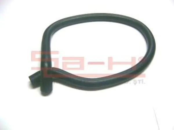 MAN / TGX , TGS SU HORTUMU