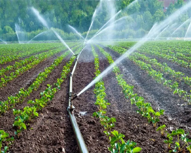 DRIP AND SPRINKLER SYSTEMS