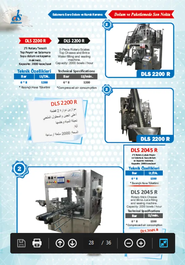 DLS 2200 R